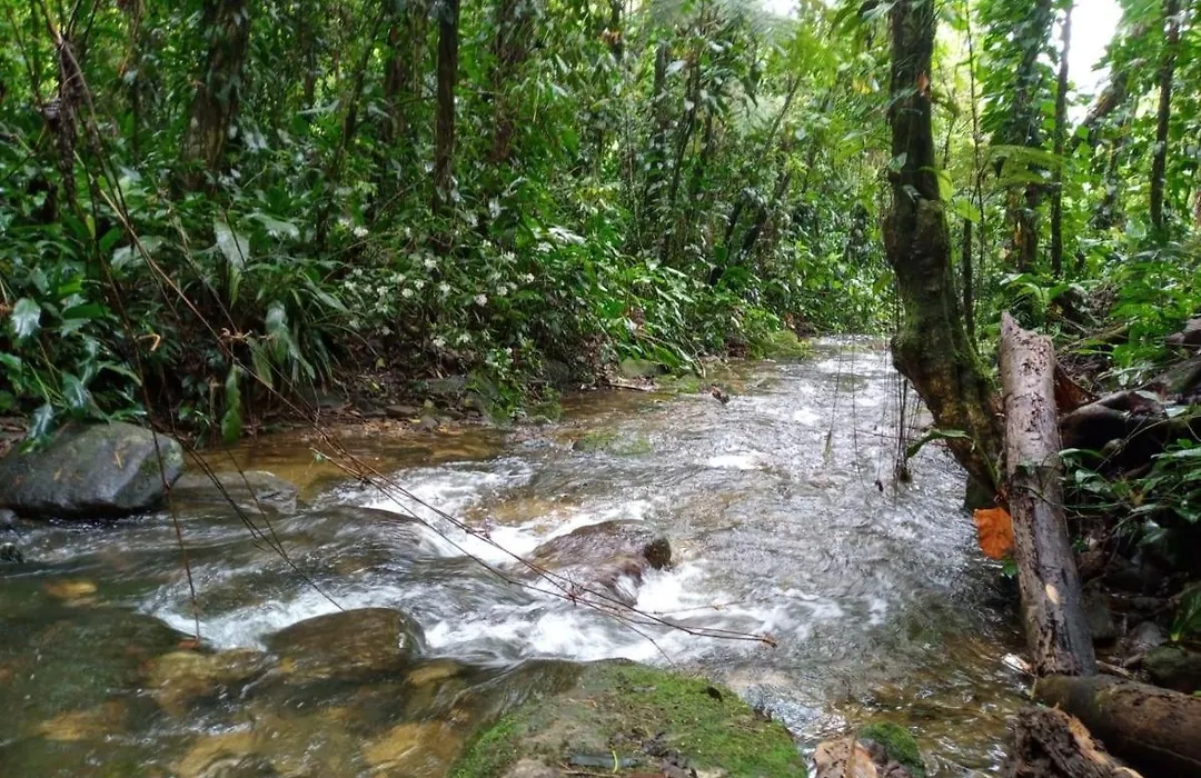 Serra e Mar-1