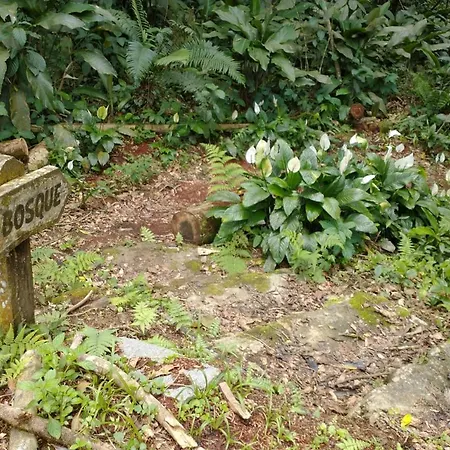 Serra e Mar-3